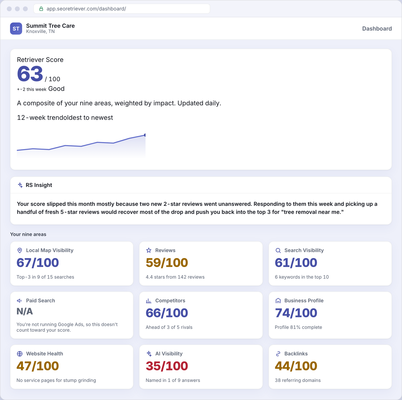 SEO Retriever dashboard showing the overall online-presence score for an example Tree service business